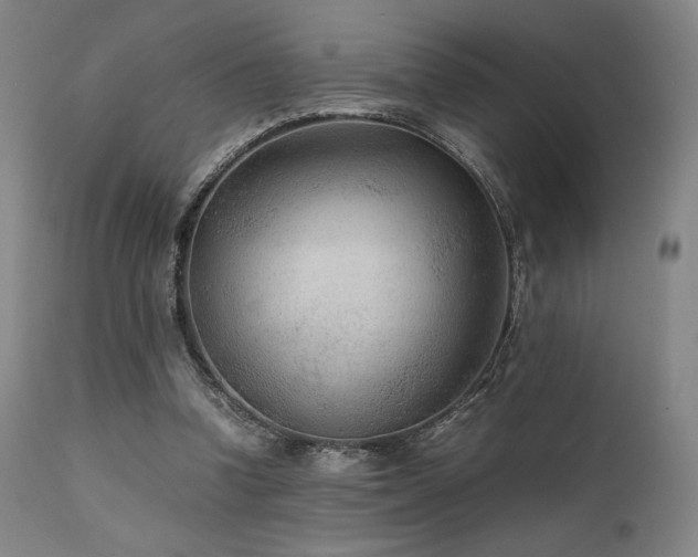 X0000111900346200907271203