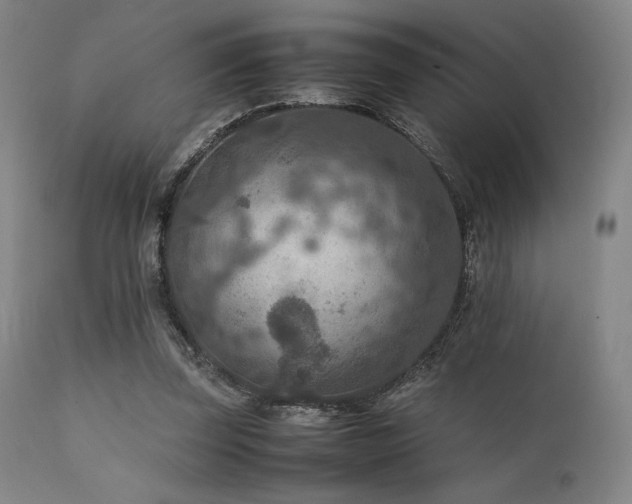 X0000111900347200907271203