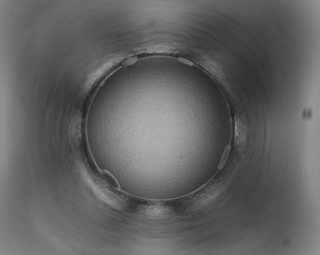 X0000111900348200907271203