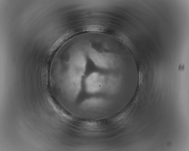 X0000111900349200907271203