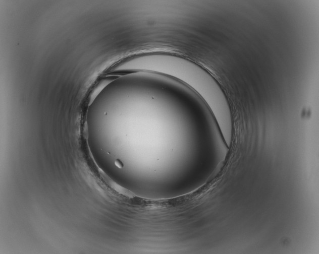 X0000111900350200907271203