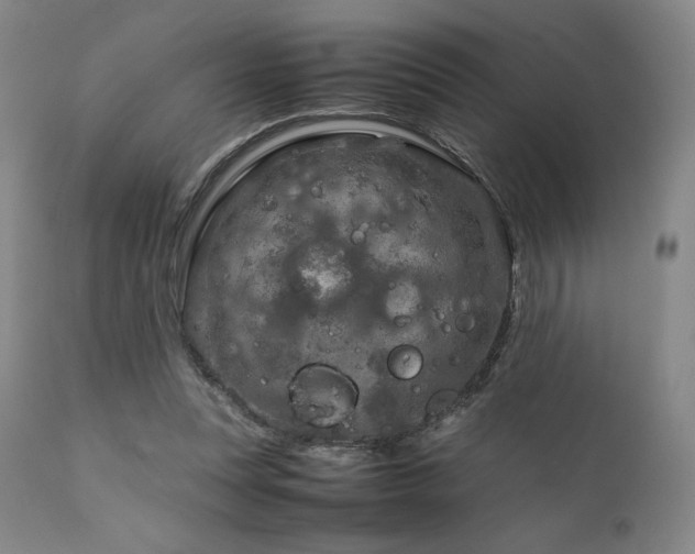 X0000111900351200907271203