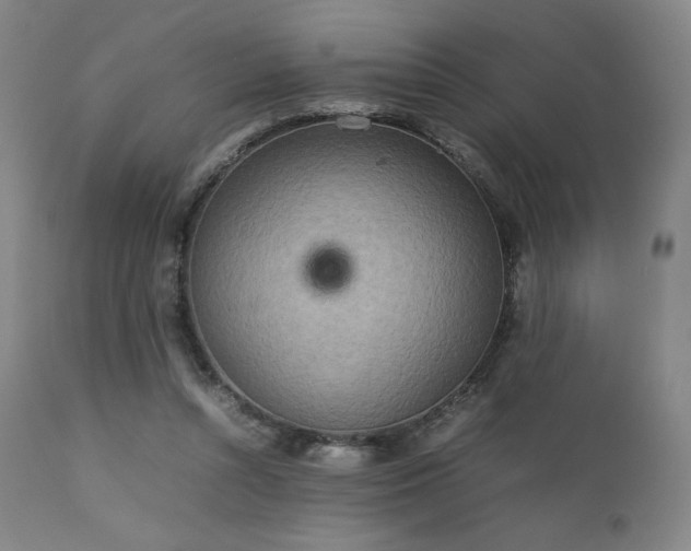 X0000111900352200907271203