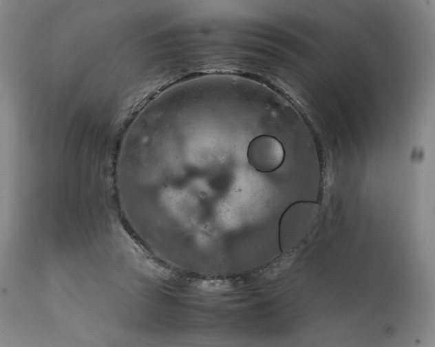 X0000111900353200907271203