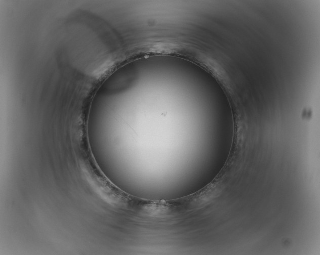 X0000111900354200907271204