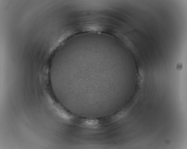 X0000111900355200907271204