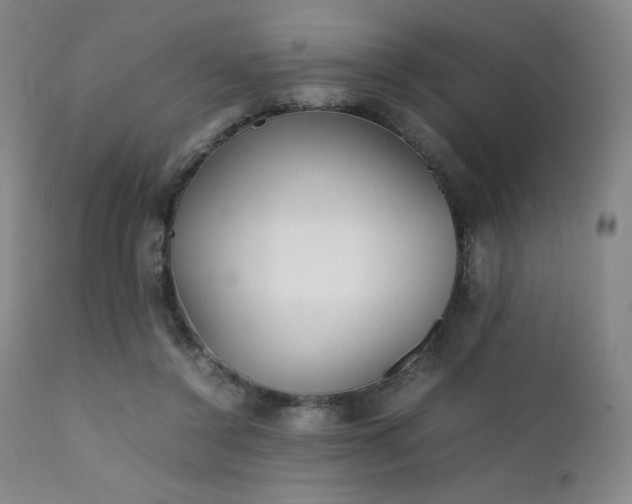 X0000111900356200907271204