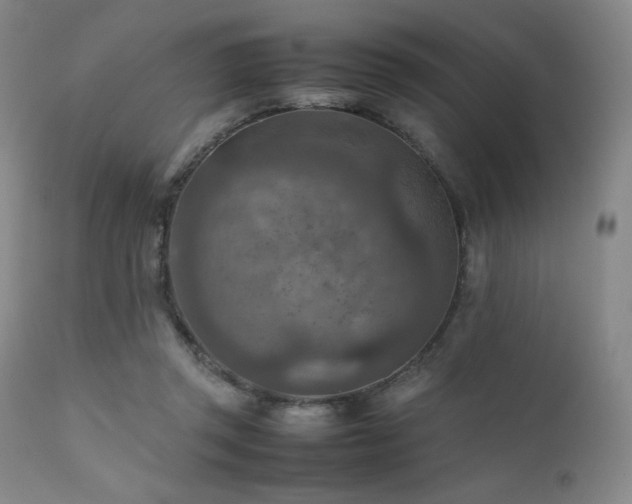 X0000111900357200907271204