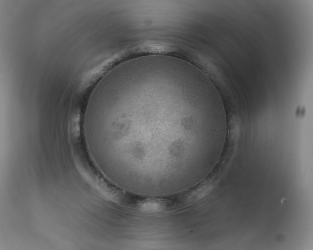 X0000111900358200907271204