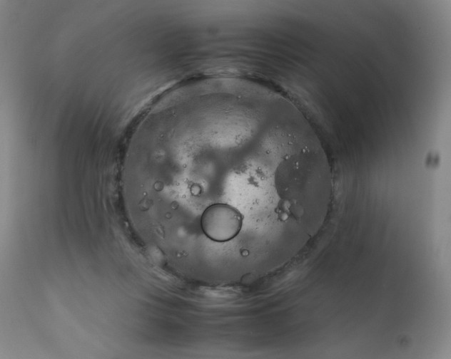 X0000111900359200907271204