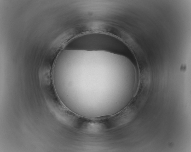 X0000111900360200907271204