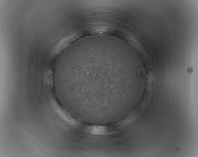 X0000111900361200907271204