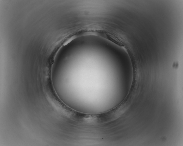 X0000111900362200907271204