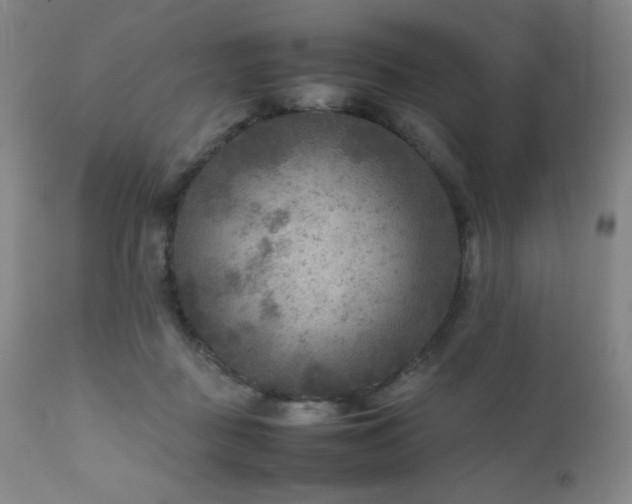 X0000111900363200907271204