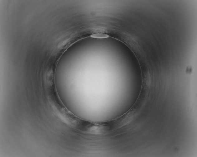 X0000111900364200907271204