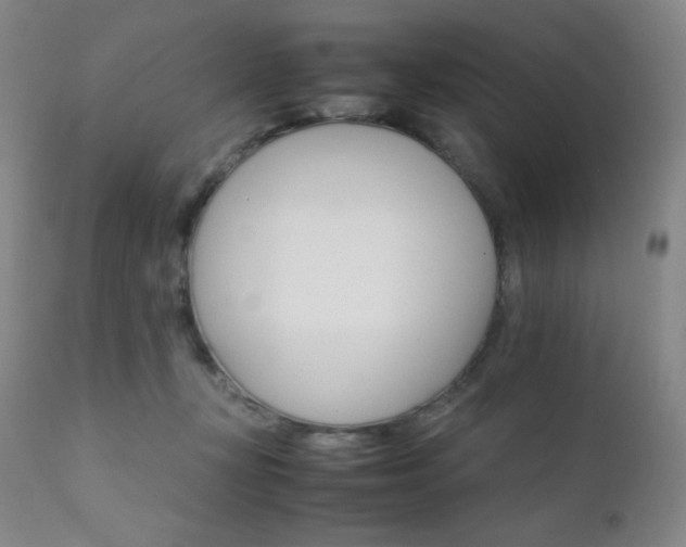 X0000111900367200907271204