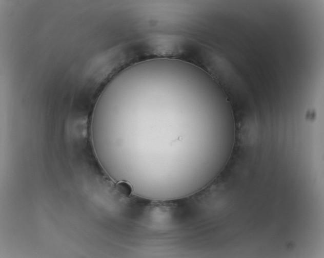 X0000111900368200907271204