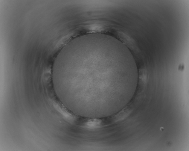 X0000111900369200907271204