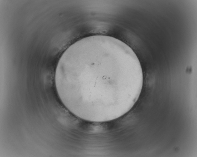 X0000111900370200907271204