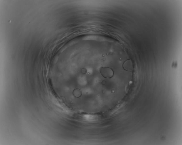 X0000111900371200907271204