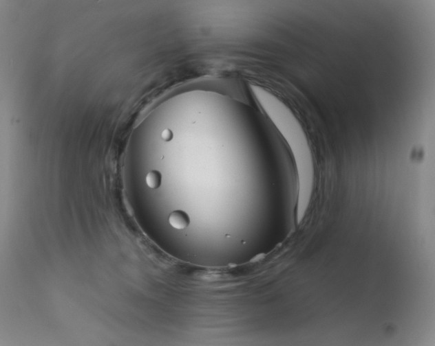 X0000111900372200907271204