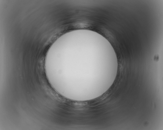 X0000111900373200907271204