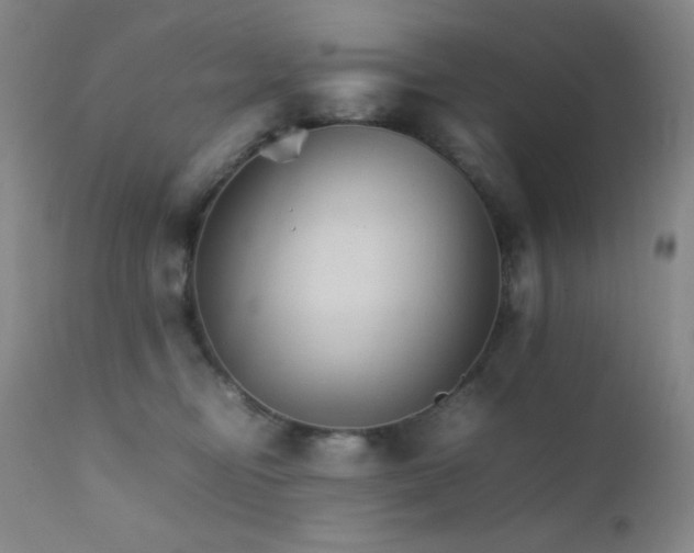 X0000111900374200907271204