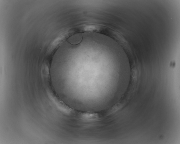 X0000111900375200907271204