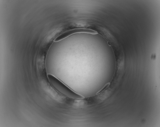 X0000111900376200907271204