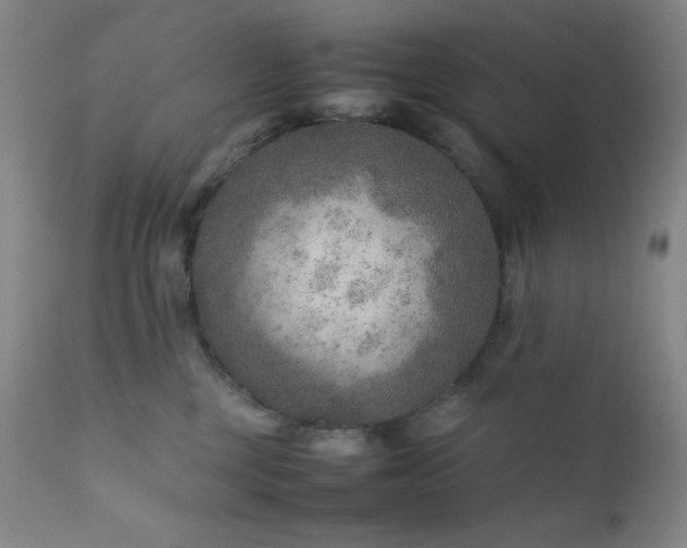 X0000111900377200907271204