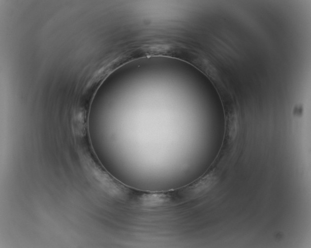 X0000111900378200907271204