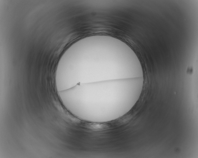 X0000111900379200907271204