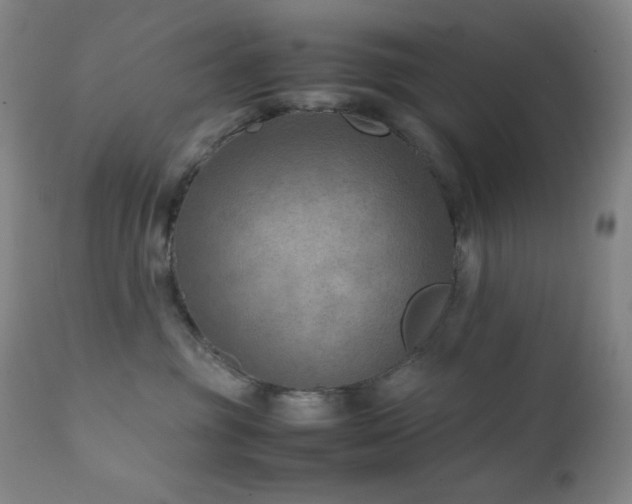 X0000111900381200907271204