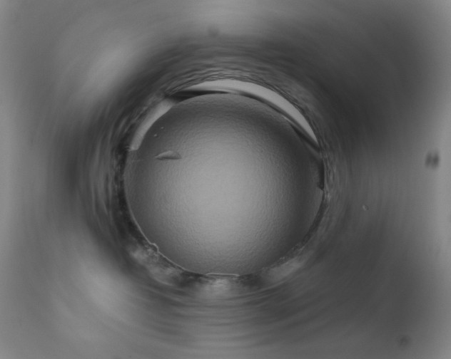 X0000111900382200907271204