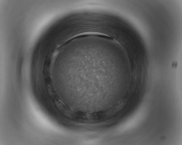 X0000111900383200907271204