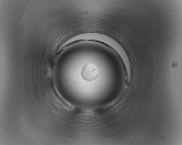 X0000111900384200907271204