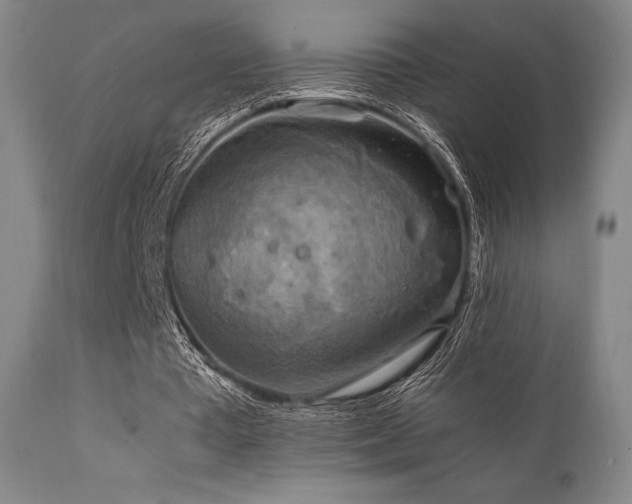 X0000111900385200907271203