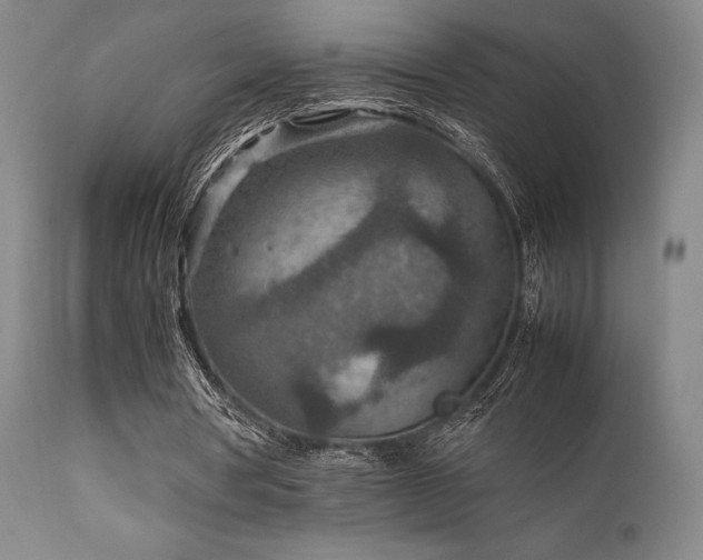 X0000111900386200907271203