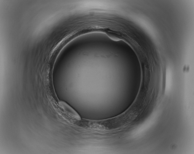 X0000111900387200907271203