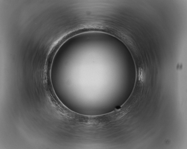 X0000111900388200907271203