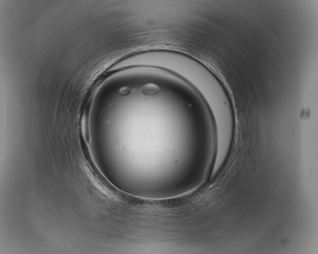 X0000111900389200907271203