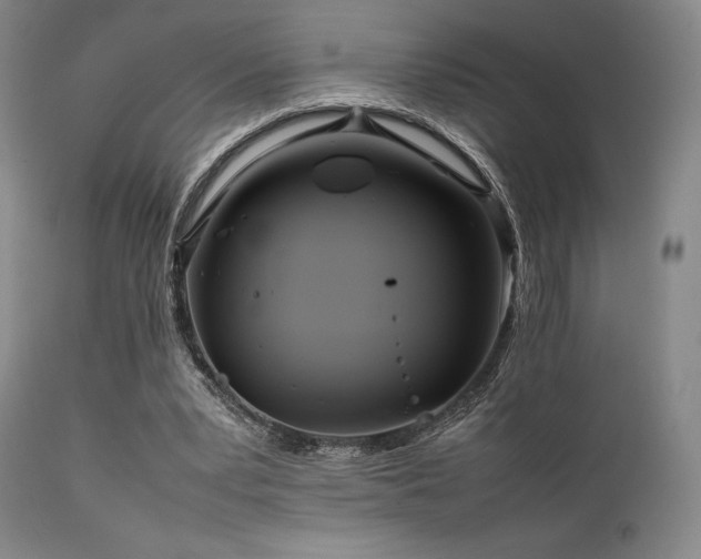 X0000111900391200907271203