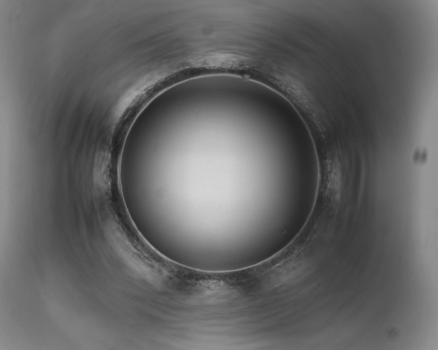 X0000111900392200907271203