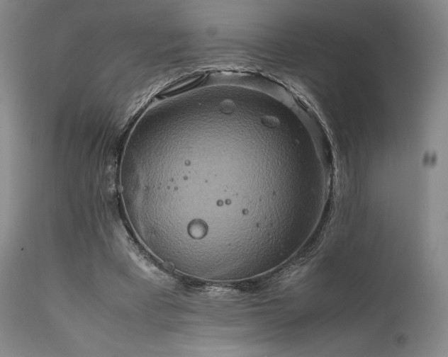 X0000111900393200907271203