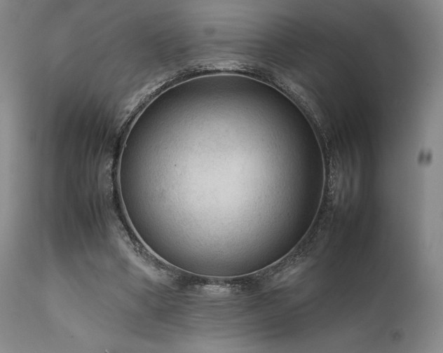 X0000111900394200907271203