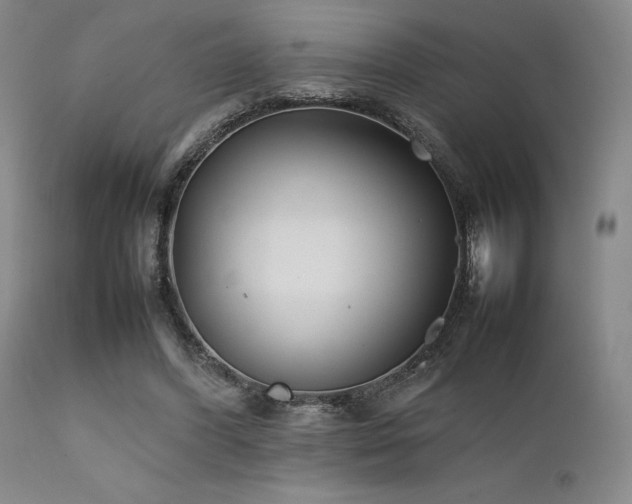 X0000111900396200907271203