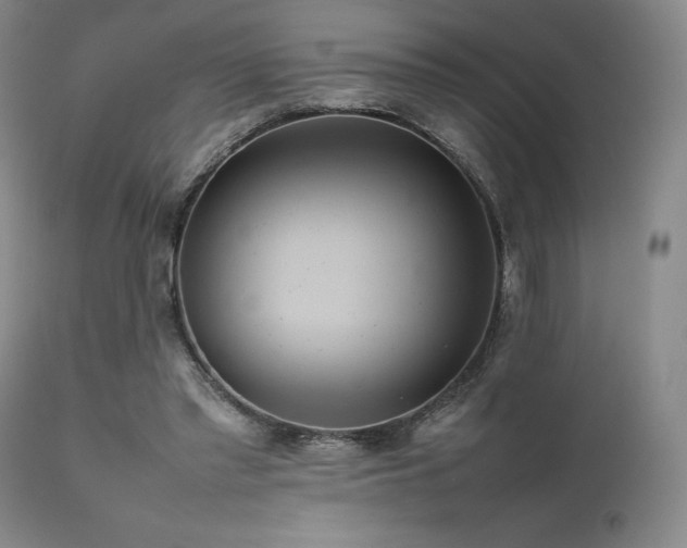 X0000111900397200907271203