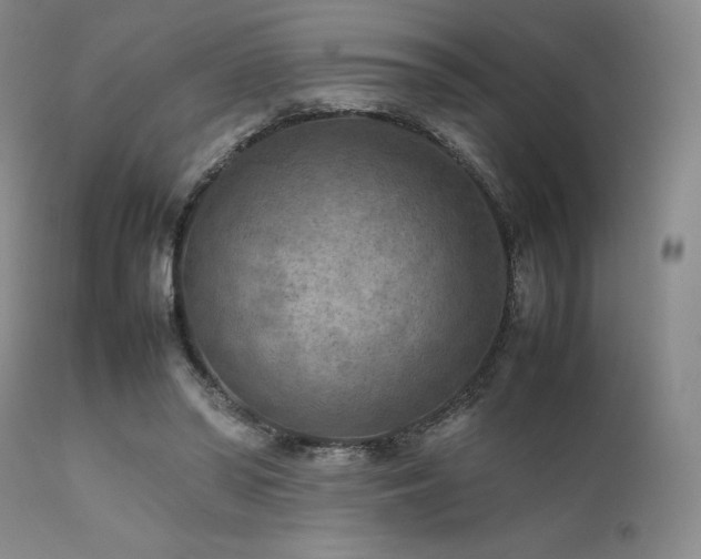 X0000111900398200907271203