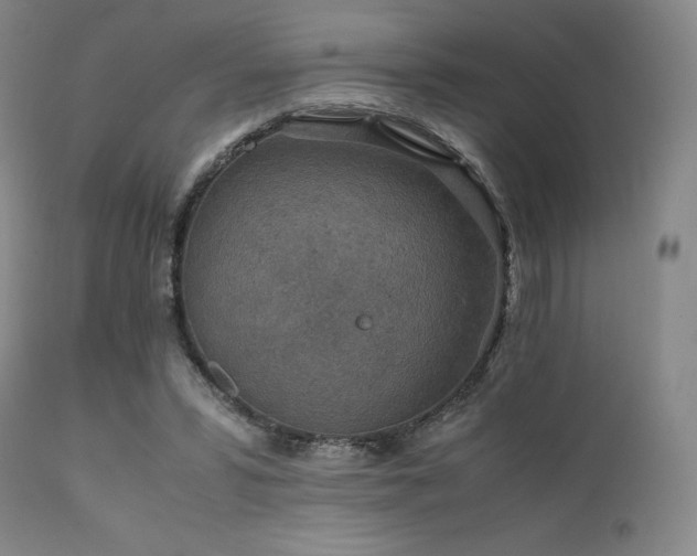 X0000111900399200907271203