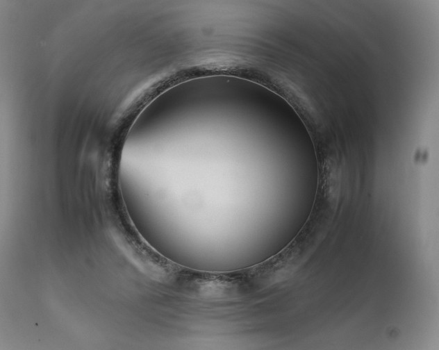 X0000111900400200907271203